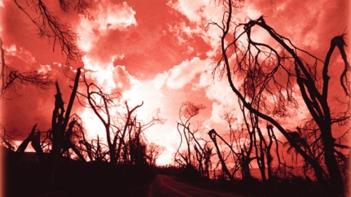 Des arbres morts et un ciel rouge