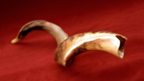 Shofar