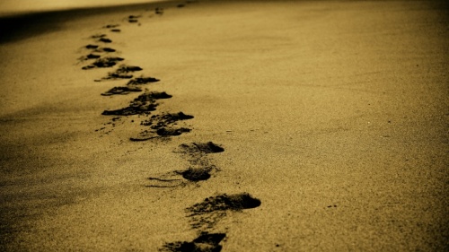 Empreintes de pas dans le sable.