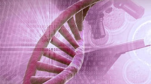 Dieu, la science et la Bible : La découverte de l’ADN confirme une conception divine