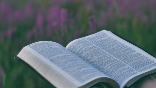 Une Bible avec un champs de fleurs en arrière-plan