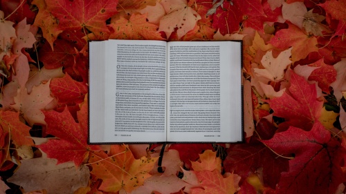 Une Bible sur des feuilles d'automne