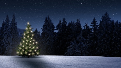 Un arbre de Noël avec des lumières dans un champ de neige.
