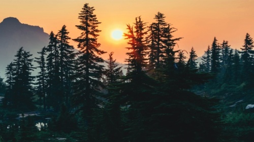 Une scène paisible avec des arbres, des montagnes et le soleil qui se couche.