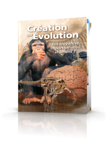 Création ou Évolution