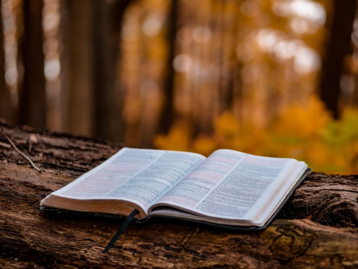 Une Bible sur un rondin dans la forêt