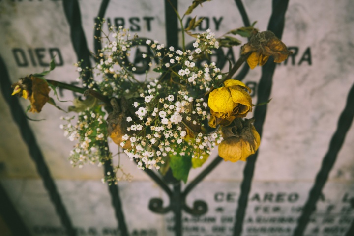 Des fleurs sur une pierre tombale