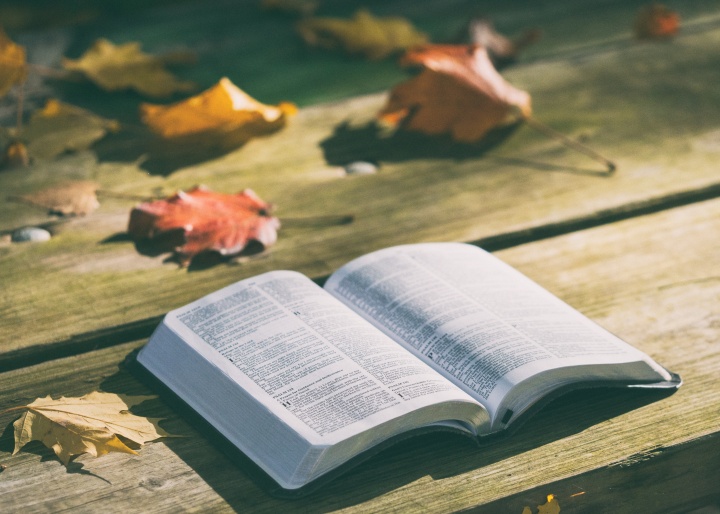 Une Bible sur une table dehors avec des feuilles