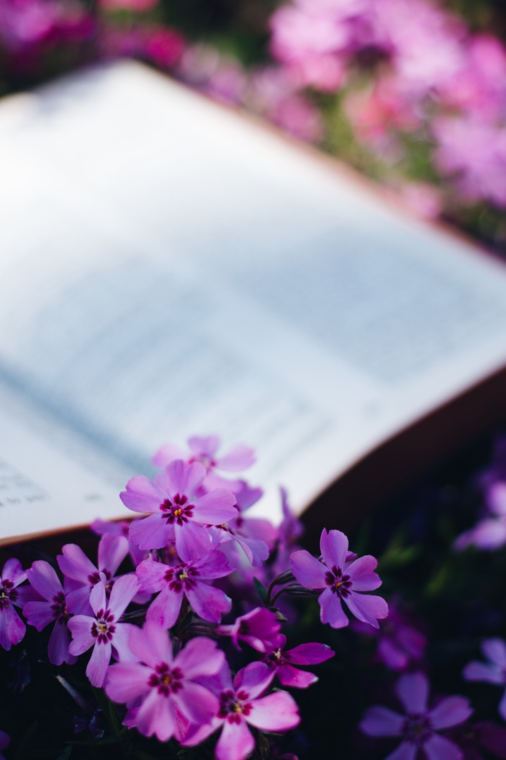 Une Bible avec des fleurs