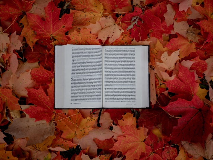 Une Bible sur des feuilles d'automne
