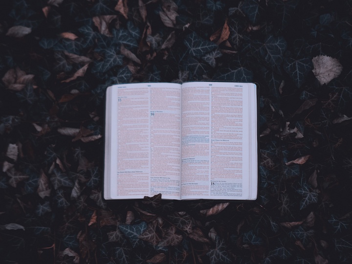 Une Bible sur des feuilles