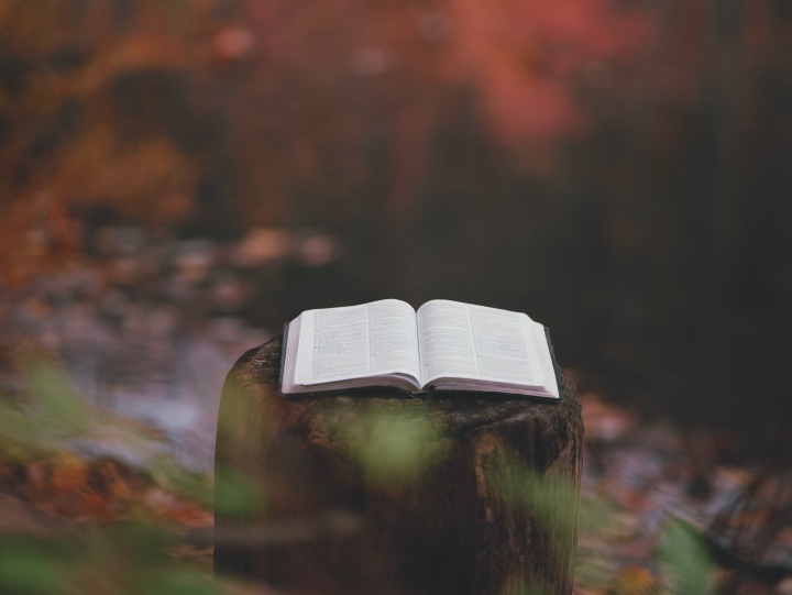 Une Bible sur un rondin à côté d'un lac