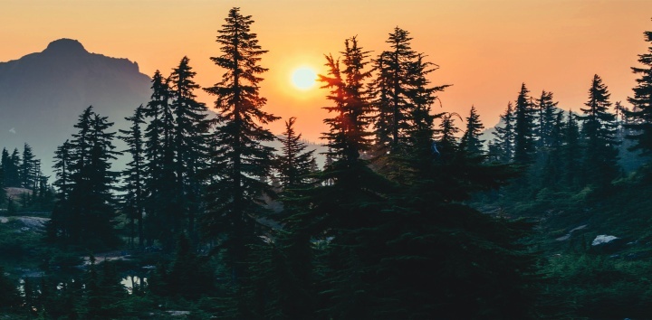 Une scène paisible avec des arbres, des montagnes et le soleil qui se couche.