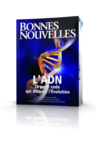 Bonnes Nouvelles juillet-août 2006