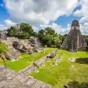Vue des majestueuses ruines mayas avec herbe verte et arbres au parc national de Tikal au Guatemala, près de la frontière du Belize.
