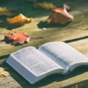 Une Bible sur une table dehors avec des feuilles