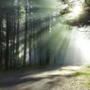 La planète Terre survivra et prospérera !