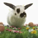 Jésus célébrerait-Il le dimanche de Pâques ?