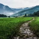 Réflexion sur le chemin de la Pentecôte