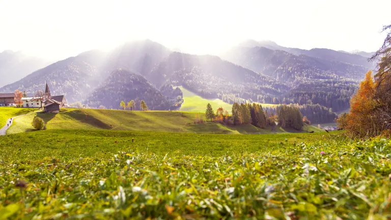 Les jours saints bibliques : plan divin de paix pour la Terre