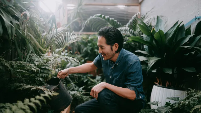 Le-jour-des-modestes-commencements