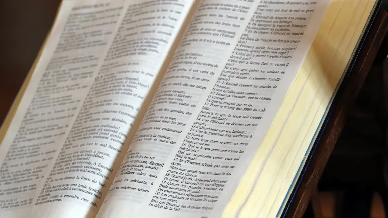 les-nations-unies-ont-80-ans