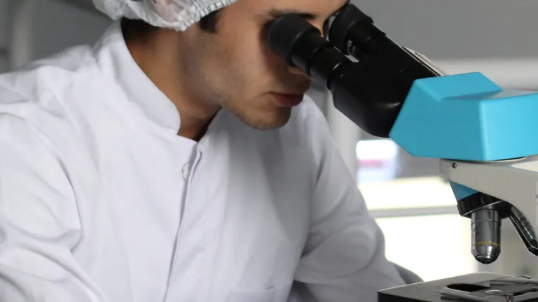 Une personne regardant à travers un microscope.