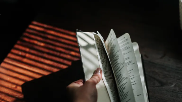 Bien que l’accomplissement de beaucoup de prophéties bibliques soit encore à venir, nombre d’entre elles se sont déjà accomplies, comme en témoignent les récits historiques. Une personne ouvre une Bible