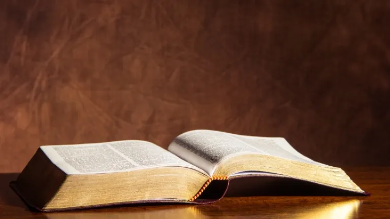 Ces prophéties étonnantes montrent que Dieu ne montre pas de partialité. Il offrira son cadeau du salut à tous ceux qui ont jamais vécu. Une Bible ouverte.