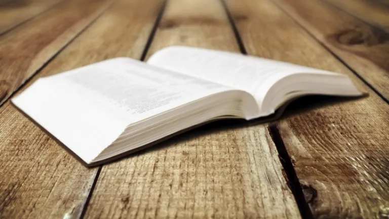 Les êtres humains sont-ils vraiment des dieux? Que voulait dire Jésus? Une Bible ouverte posée sur une table.
