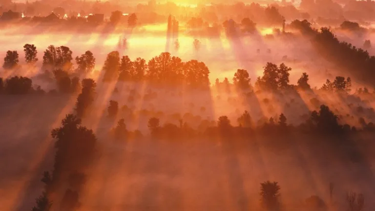 Un lever de soleil brumeux sur les terres agricoles.