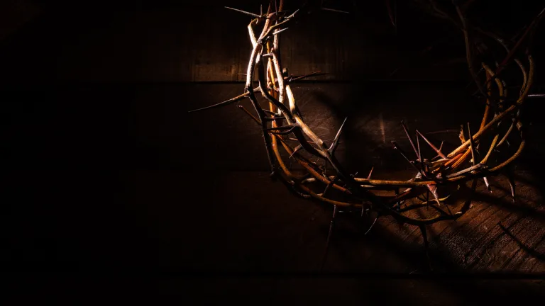 De nombreux versets bibliques indiquent que Jésus est mort pour l’humanité. Symboles de la crucifixion du Christ (une couronne d'épines).