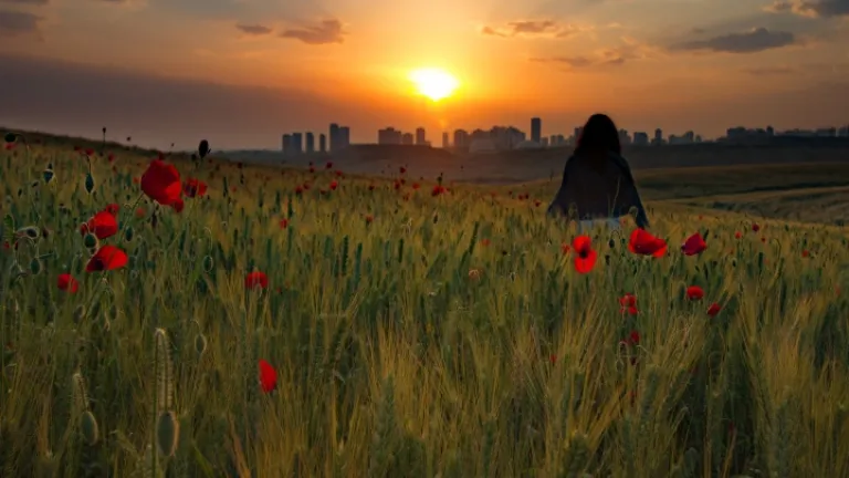 Verser-la-dîme-à-notre-époque-!-Mais-pourquoi-?