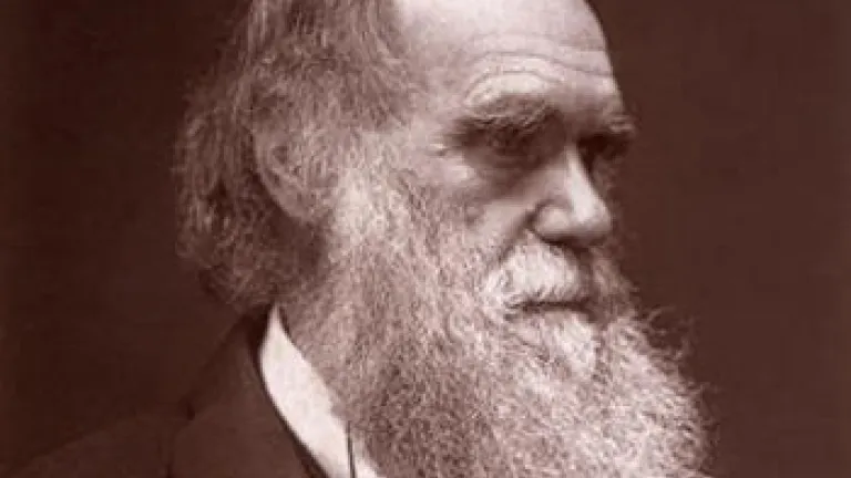 Monsieur Darwin, vous avez eu tort à dix reprises ! Monsieur Darwin, vous avez eu tort à dix reprises !