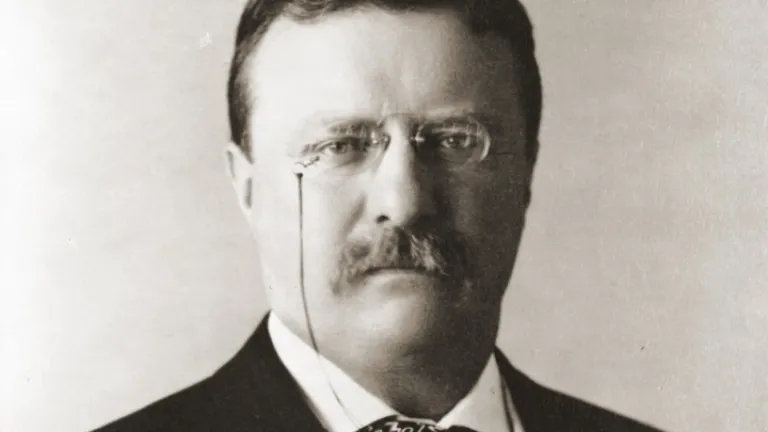 Theodore Roosevelt, le 26ᵉ président des États-Unis