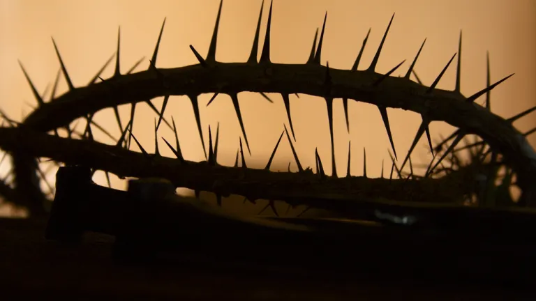 Jésus-Christ, la Sagesse de Dieu