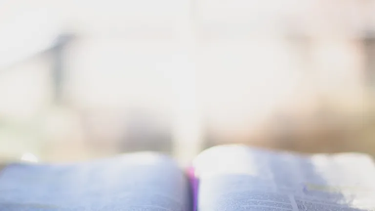 Une Bible dans la lumière