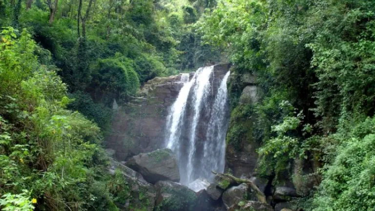 Une belle cascade dans la jongle