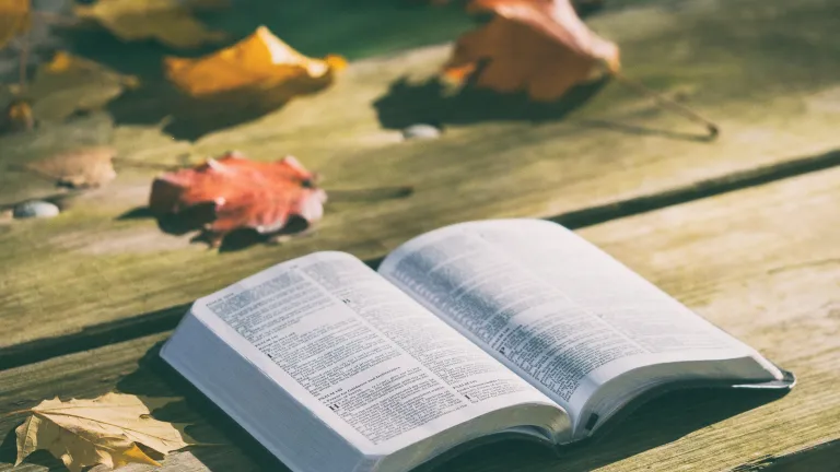 Une Bible sur une table dehors avec des feuilles