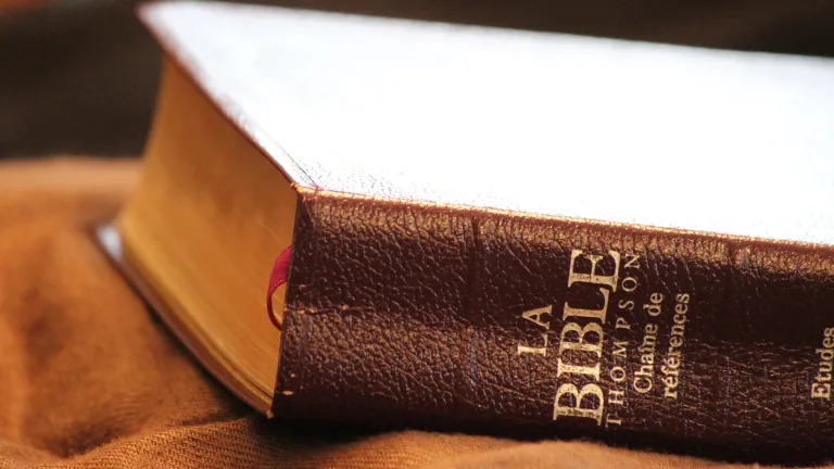 Le dos d'une Bible