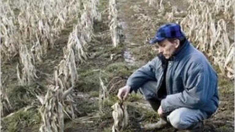 Une famine mondiale se prépare-t-elle ? Une famine mondiale se prépare-t-elle ?