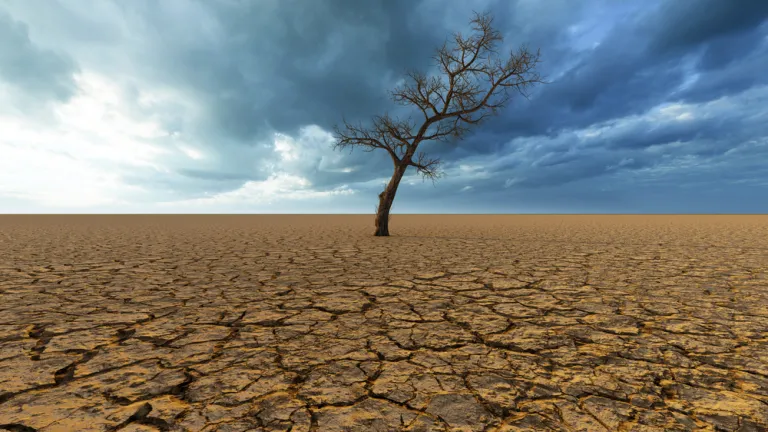 Une grande sécheresse