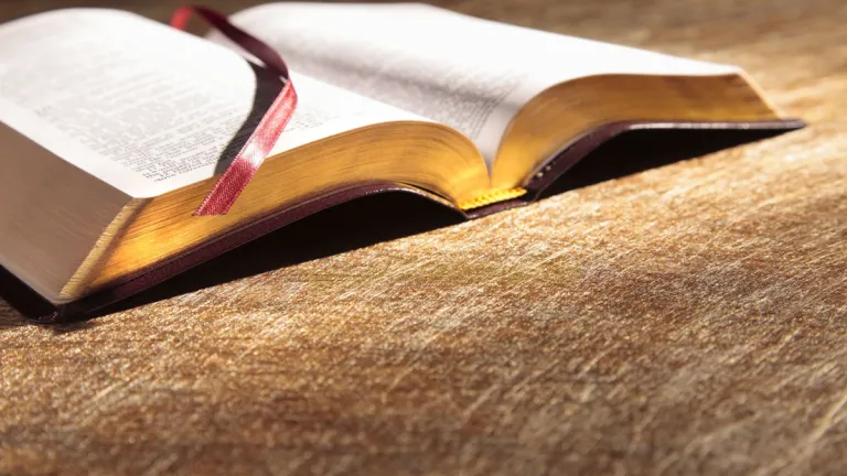 Une bonne compréhension de l'Évangile de Jésus, le Messie, nous aide à comprendre le plan divin pour l'humanité, et la raison pour laquelle nous devons nous repentir. Qui sont « les appelés, les élus et les fidèles » ?