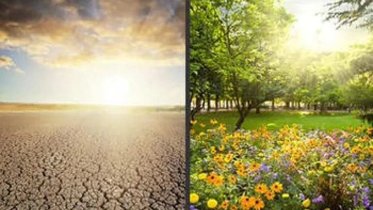 Qu’est-ce que le Royaume de Dieu ?