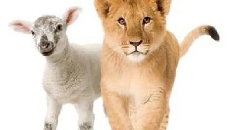 La paix mondiale sera-t-elle « pour notre temps » ?