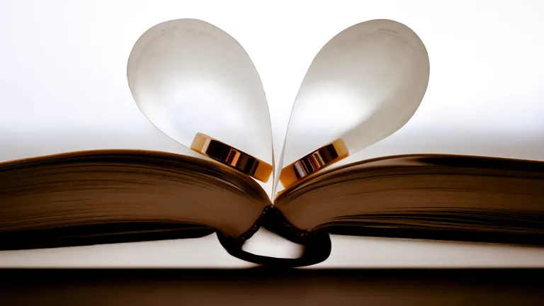 Le mariage humain, merveilleusement conçu par un Dieu plein d’amour, illustre la réalité et l’accomplissement du mariage de Christ avec l’Église. Des anneaux de mariage.