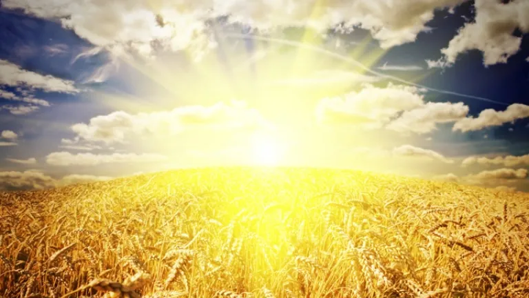 Jésus Christ et les fêtes bibliques