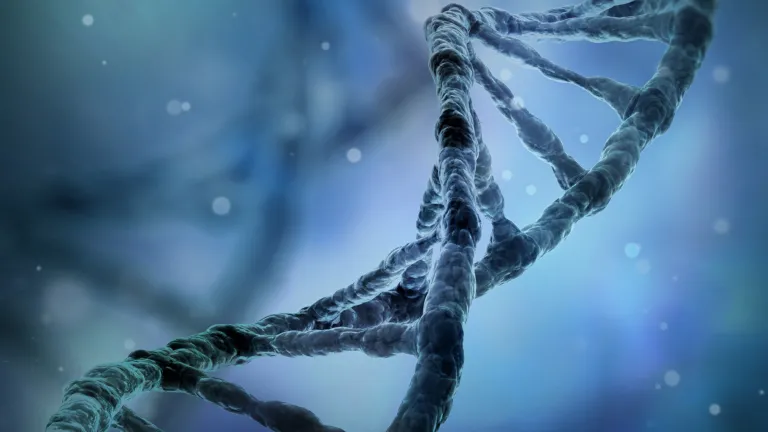 Évolution : un acte de foi