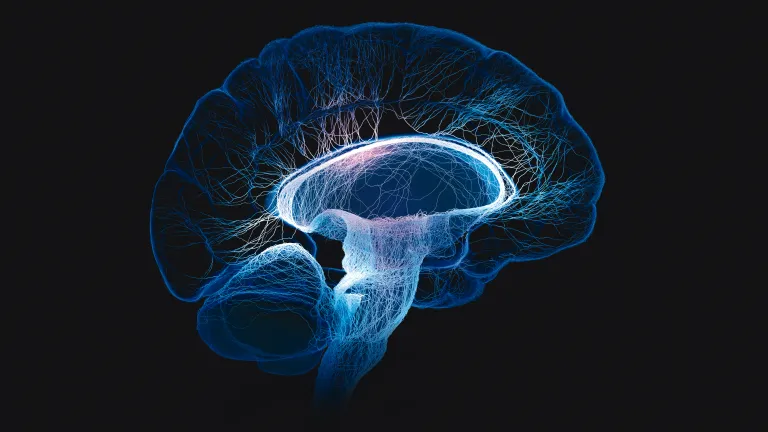 Le parcours d’un scientifique vers Dieu