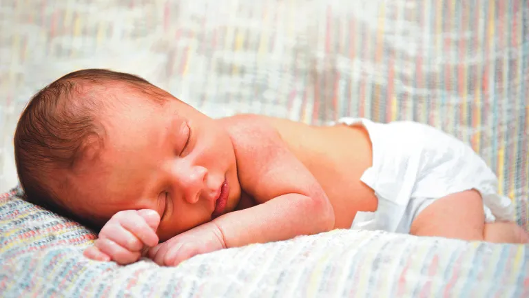 Un fantasme évolutionniste : des parties inutiles du corps huma